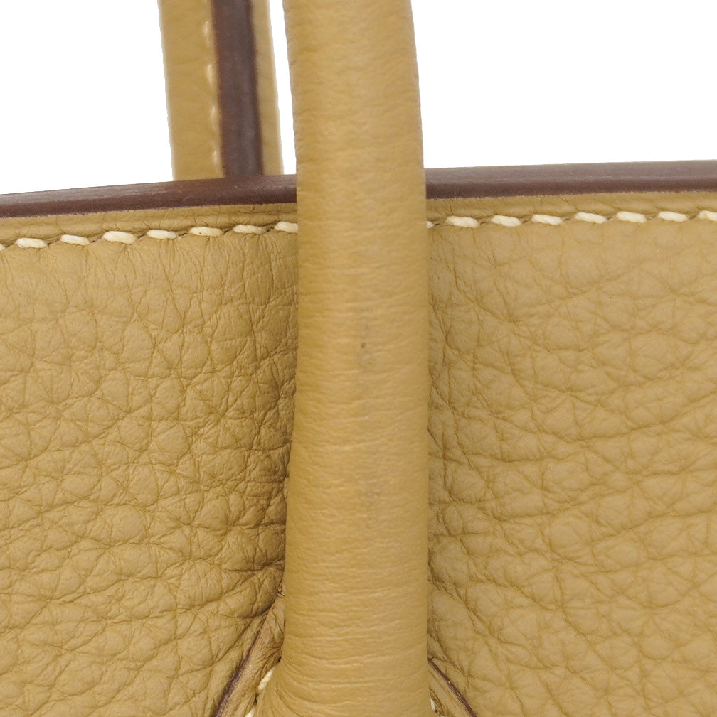 【5hb1075】エルメス ハンドバッグ バーキン30 トリヨンクレマンス パルシュマン/プシエール シルバー金具 □M刻印 SPO【中古】レディース