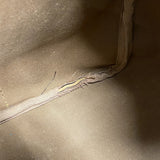 ★最終価格★SALE【6cc3723】ルイヴィトン ボストンバッグ モノグラム キーポルバンドリエール55 M41414 ブラウン【中古】メンズ レディース ユニセックス