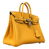 【6fb2953-g】エルメス ハンドバッグ バーキン25 トゴ パイユ シルバー金具 G刻印【中古】レディース