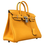 【6fb2954-g】エルメス ハンドバッグ バーキン25 トゴ パイユ シルバー金具 G刻印【中古】レディース