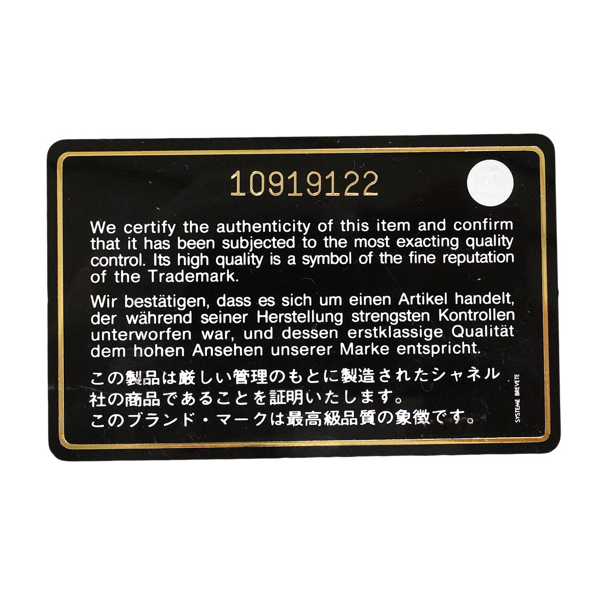 【6hb0158】シャネル トートバッグ エグゼクティブ パイソン ブラウン シルバー金具【中古】レディース