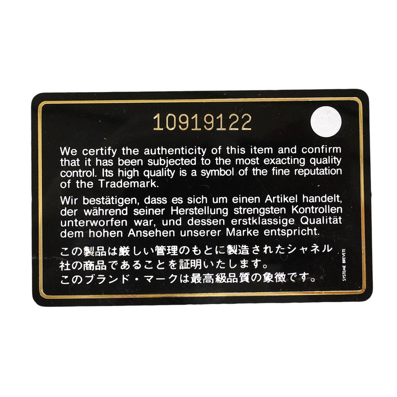 【6hb0158】シャネル トートバッグ エグゼクティブ パイソン ブラウン シルバー金具【中古】レディース